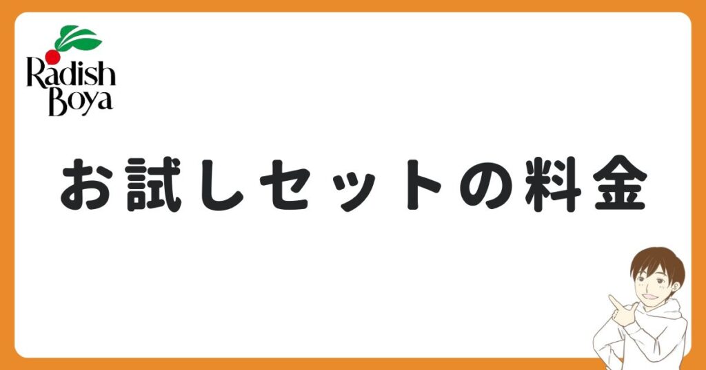 お試しセットの料金【1,480円のセットはある？】