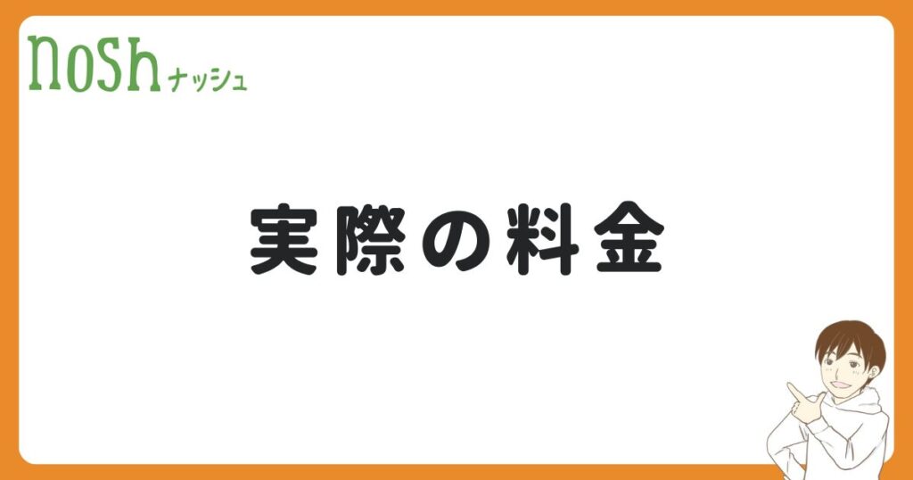 ナッシュを一人暮らしで使った時の料金