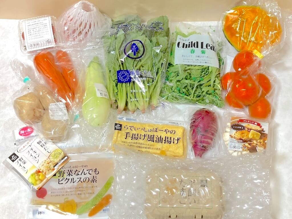 らでぃっしゅぼーやから届いたお試しセット